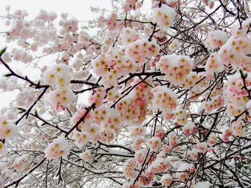 776570923259067233.jpg 776570923259067233.jpg