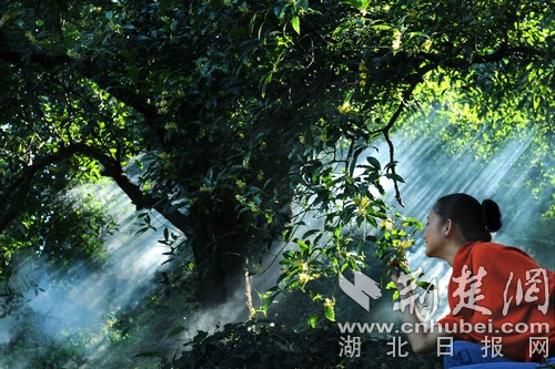 微信圖片_20181121173156.jpg 微信圖片_20181121173156.jpg