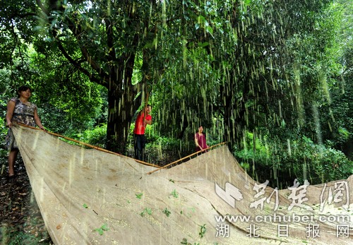 微信圖片_20181121173201.jpg 微信圖片_20181121173201.jpg